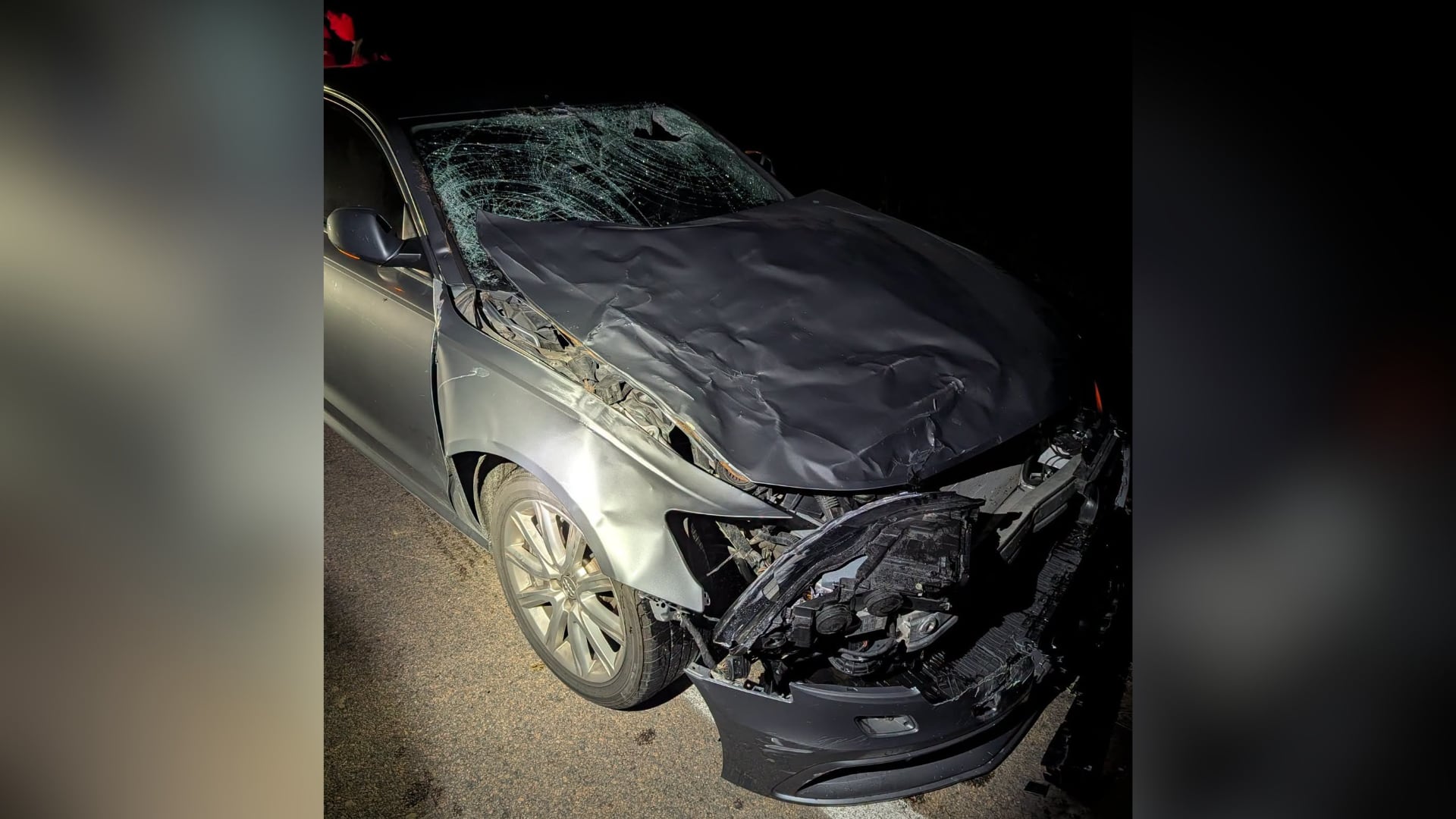 Nearly 600-pound elk dies in Lancaster County crash