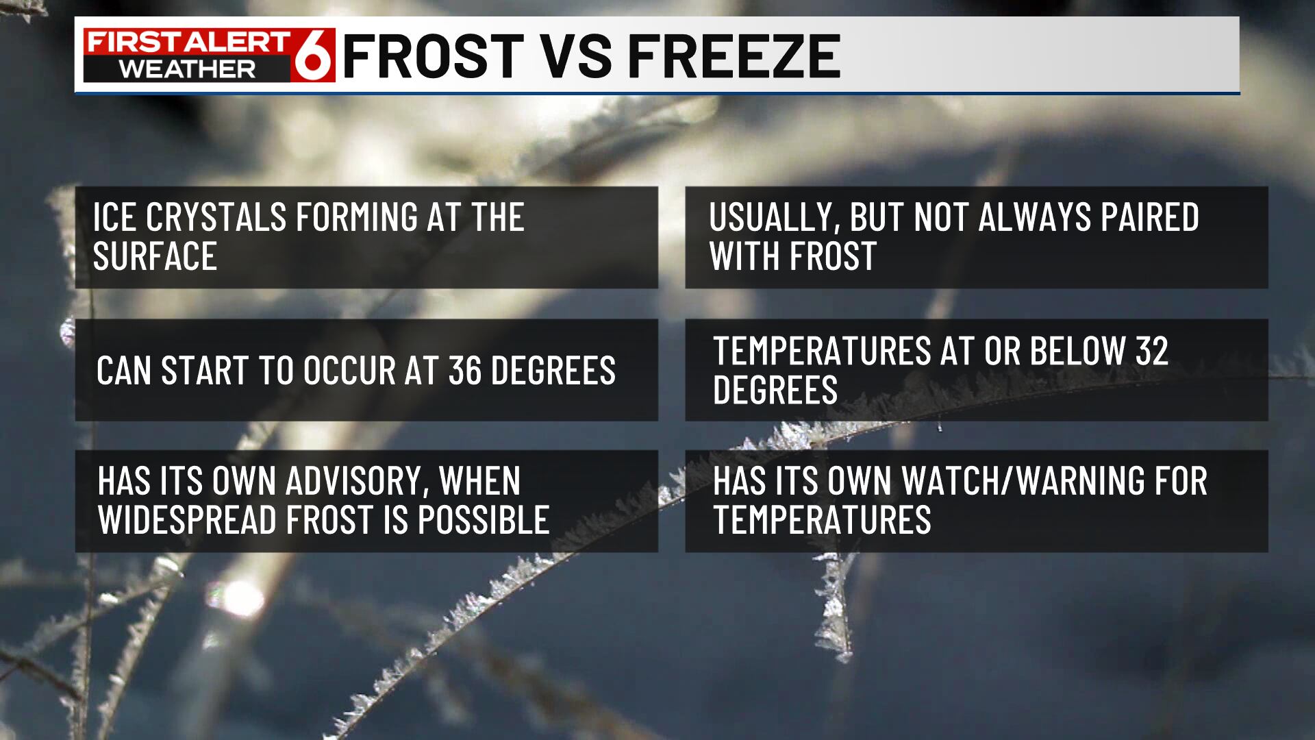 Frost vs Freeze: What it means when it comes to protecting your plants