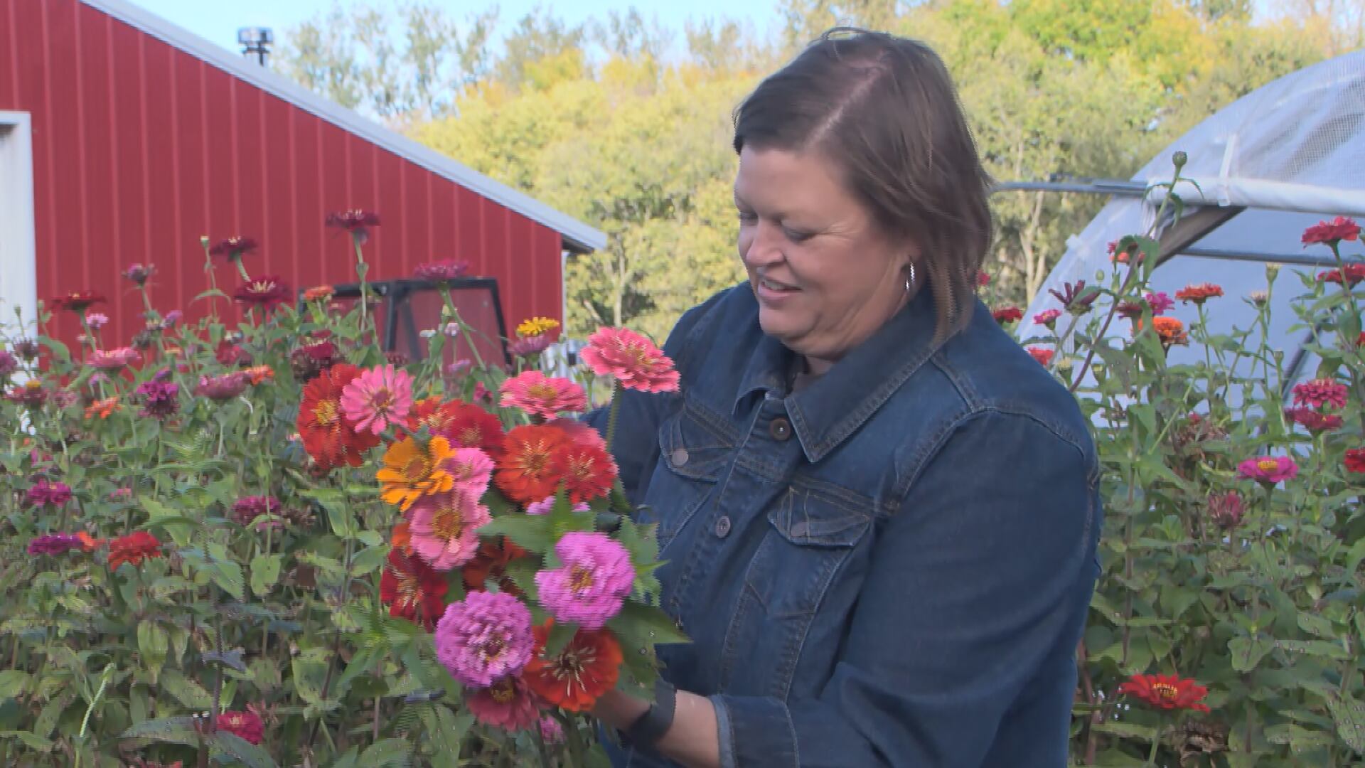 Andrea Curlo opens flower farm in Nebraska backyard