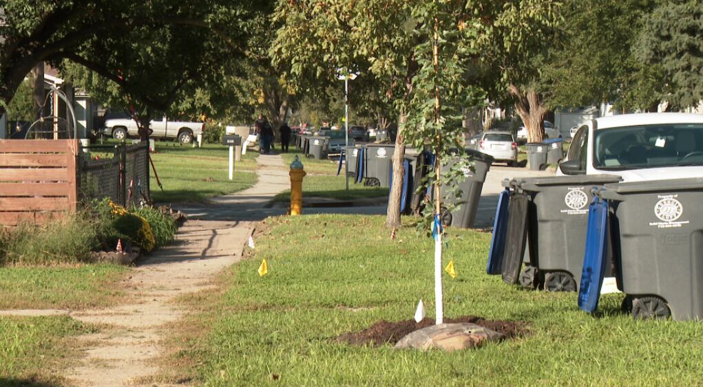 Casino workers plant 45 trees in Council Bluffs neighbourhood