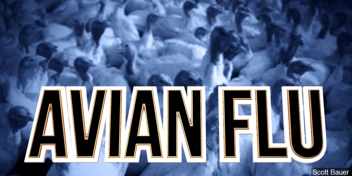 Avian flu case found in commerical flock in southeast Nebraska Avian flu case found in commerical flock in southeast Nebraska