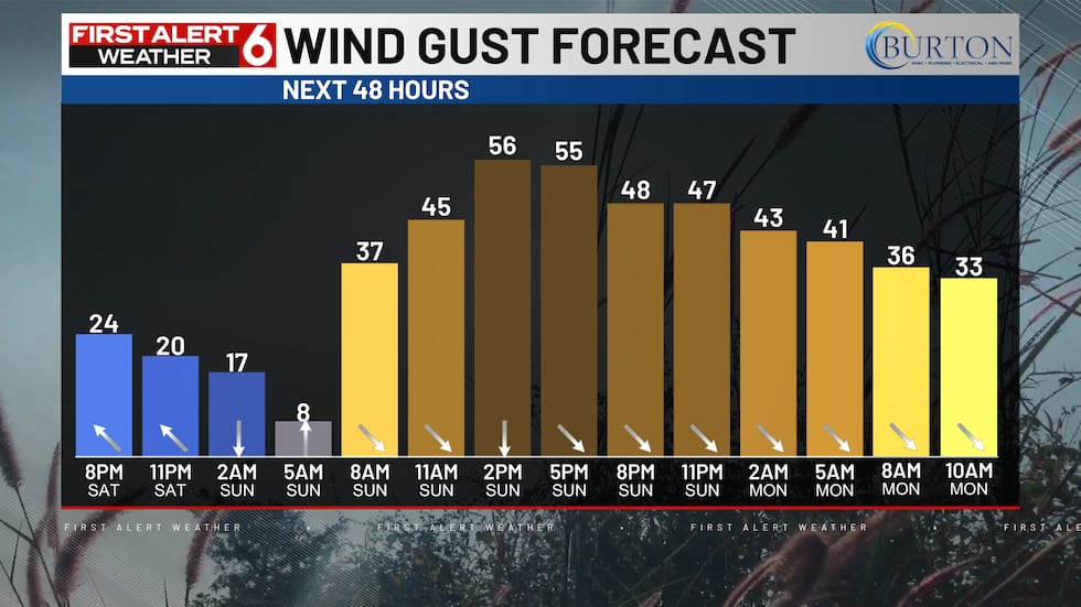 Winds will increase drastically after 10 AM Sunday.