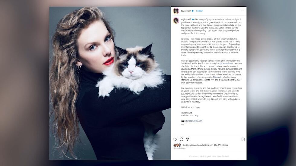 Taylor Swift’s ‘childless cat lady’ remark tops list of 2024’s