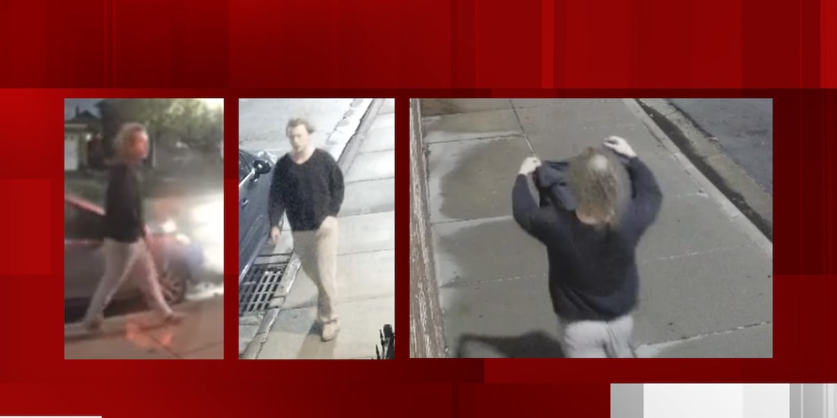 Assault News Image