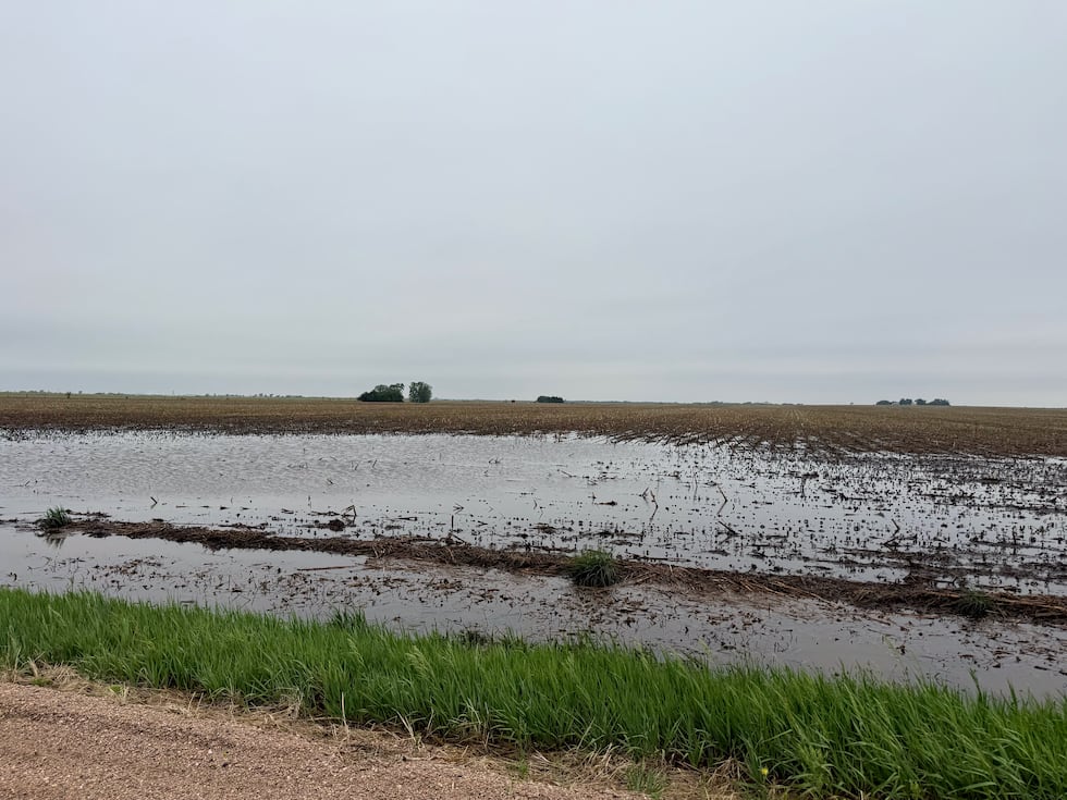 Recent rain may fall short for parts of drought