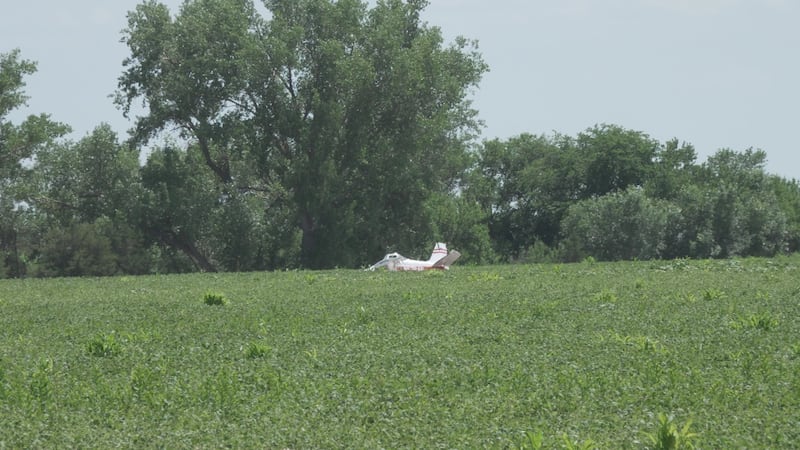 Henderson man dies after plane crashes Thursday night