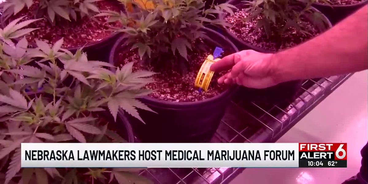 Nebraska lawmakers hold town halls over regulating medical marijuana Nebraska lawmakers hold town halls over regulating medical marijuana