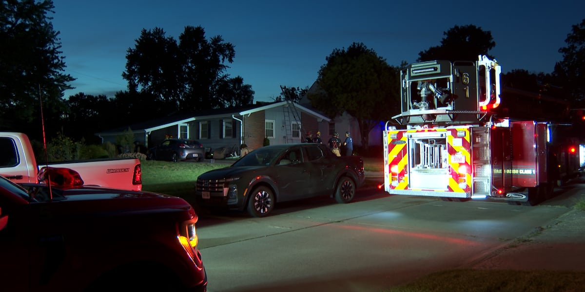 Coverage image for: Four animals killed in southwest Omaha house fire, authorities say