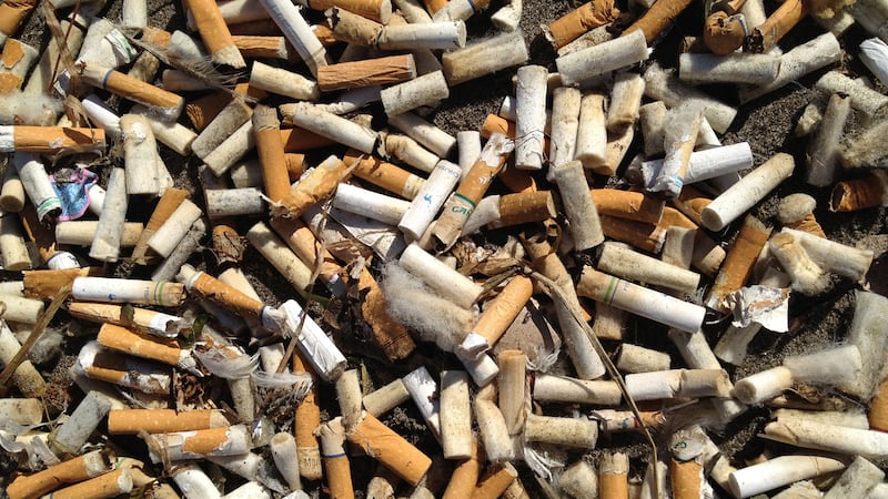 did elvis presley smoke cigarettes Elvis Presley Smoking A Cigar Isolated On Gray White, Clipart Of Elvis Presley, Clipart Elvis Presley, Elvis Presley Clipart PNG Transparent Image and Clipart for Free Download did elvis presley smoke cigarettes Elvis Presley Smoking A Cigar Isolated On Gray White, Clipart Of Elvis Presley, Clipart Elvis Presley, Elvis Presley Clipart PNG Transparent Image and Clipart for Free Download