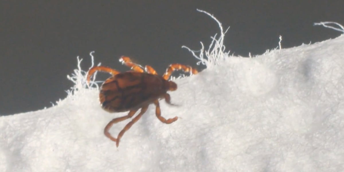 Nebraska health department warns of the dangers of tick-related diseases Nebraska health department warns of the dangers of tick-related diseases