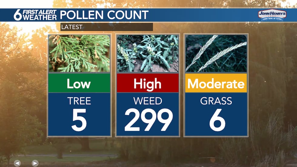 EXPLAINER: What is pollen count and how do we measure it?