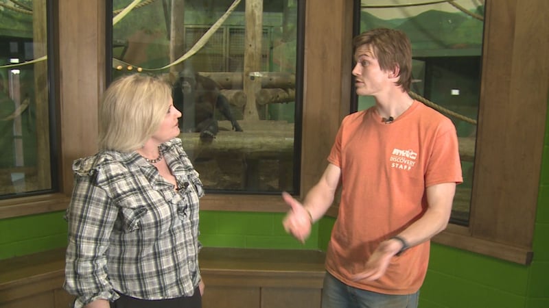 The Riverside Discovery Center offers visitors a chance to see a variety of zoo animals, from...