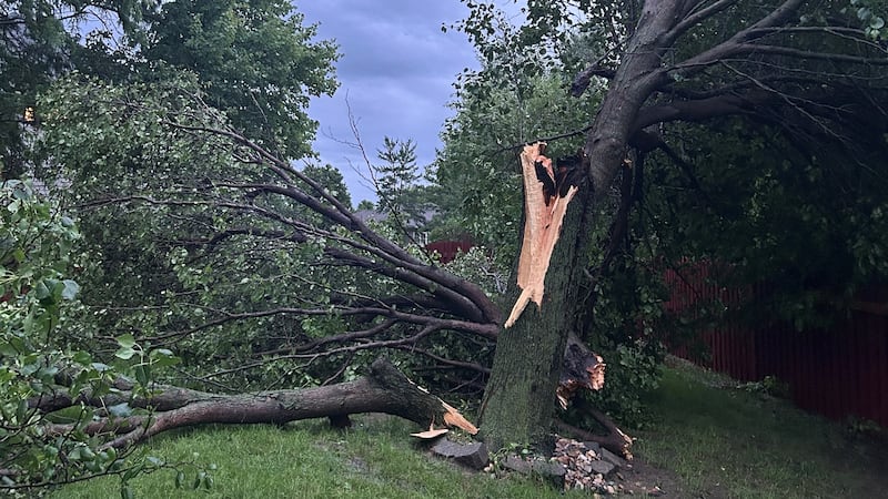 Storm damage on June 11, 2026.
