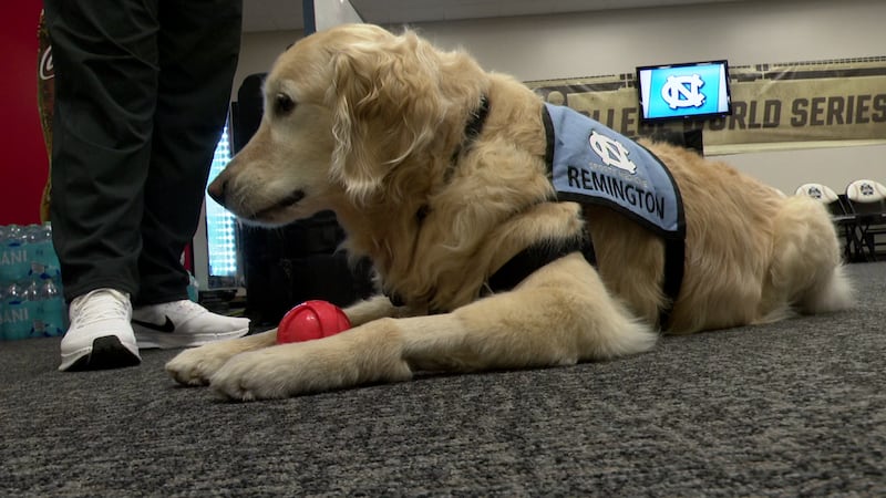 UNC dog