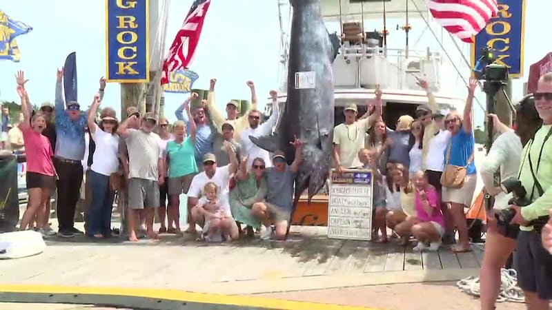 A record-breaking 900-pound marlin was caught during an annual tournament in North Carolina....