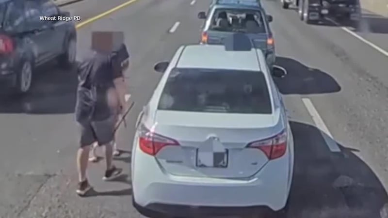 Police say a pair of road rage drivers decided to stop and get into a fight right in the...