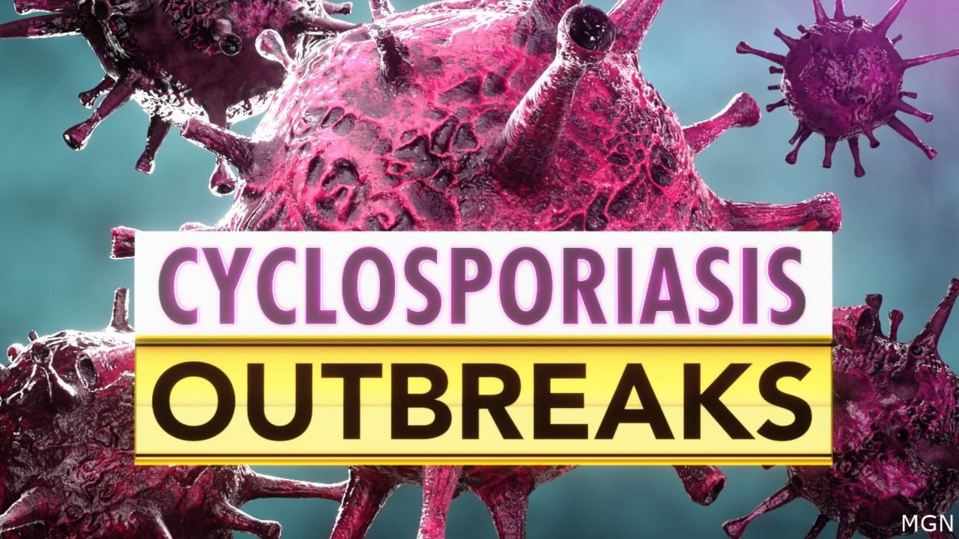 glp-1 digestive blockage legal team in louisiana Louisiana Ozempic Lawyer Cyclospora outbreak: Lettuce recall, Louisiana